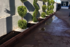 30078575_1486206464823560_7924404820797030400_n