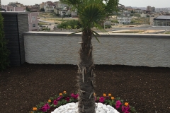 30846355_175202179804337_6376561794877489152_n