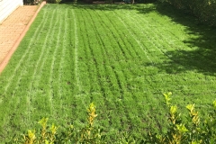 32725759_374352019740679_1346305465125961728_n